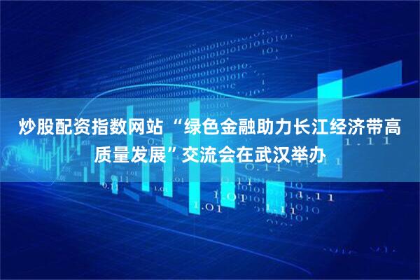 炒股配资指数网站 “绿色金融助力长江经济带高质量发展”交流会在武汉举办